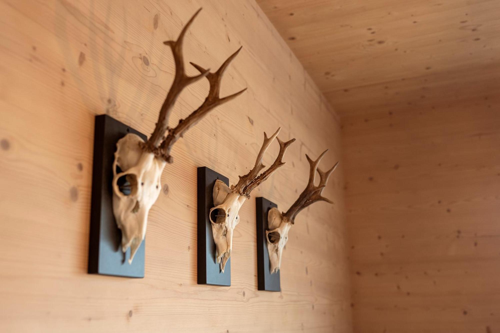 Holzlodge Deluxe 라드스타드트 외부 사진